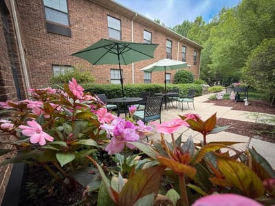 Patio area with flowers and umbrellas