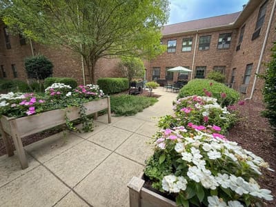 Garden pathway surrounded by flowers in a courtyard