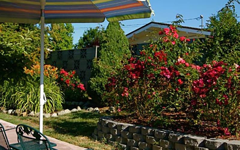 A serene garden area with colorful flowers and seating