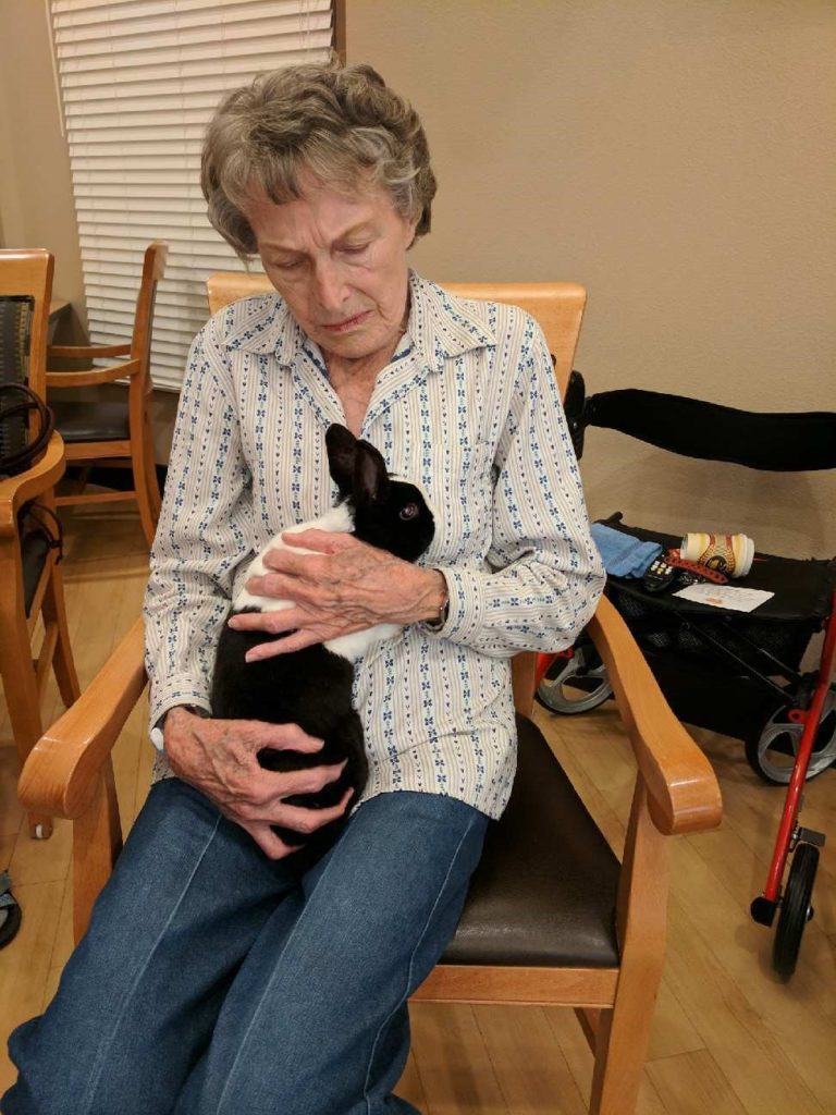 An elderly woman holding a rabbit in her lap