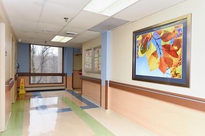 Interior hallway with colorful leaf art