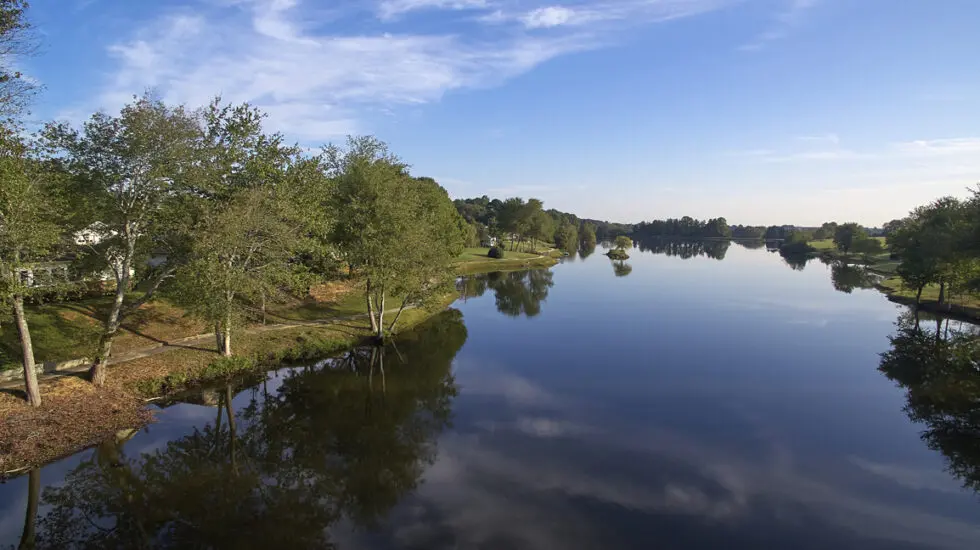Scenic view of a calm lake surrounded by greenery
