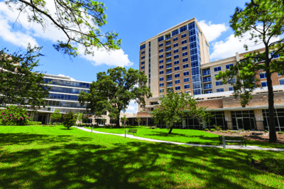 Building exterior surrounded by green lawn and trees