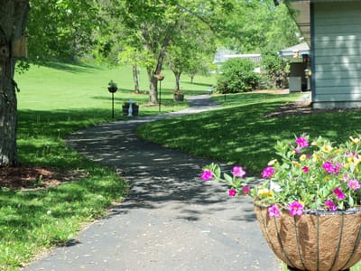 Pathway leading through a green landscaped area