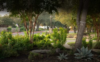 Lush garden with trees and walking paths