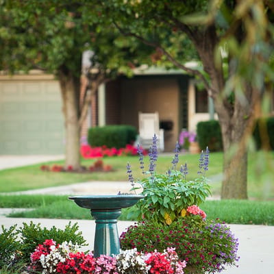 Colorful garden with flowers and birdbath