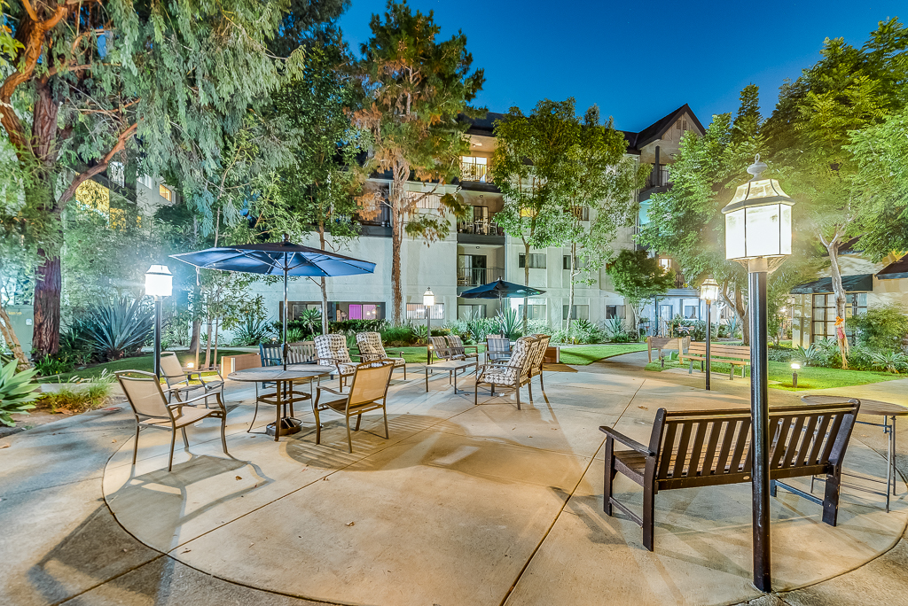 Outdoor seating area with trees and umbrellas