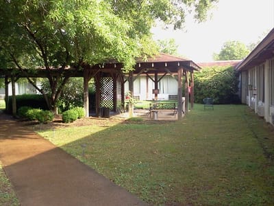 Outdoor space with shaded seating and greenery