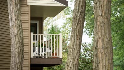 Balcony view surrounded by trees