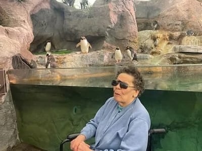 Resident enjoying a moment with penguins in a zoo