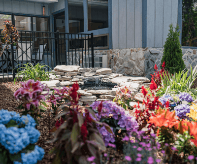 Beautiful garden area with colorful flowers
