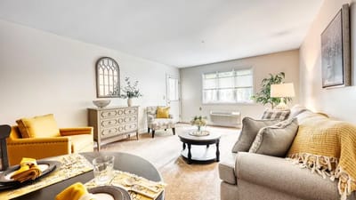 Cozy interior living area with comfortable furniture