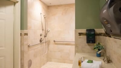 Accessible bathroom with grab bars and shower