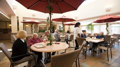 Residents enjoying lunch in a sunny dining area