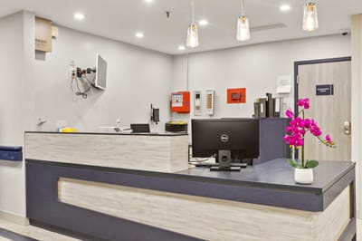 Reception area with a desk and decor