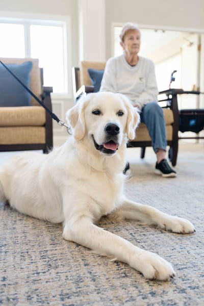 A resident and a golden retriever in a lounge area