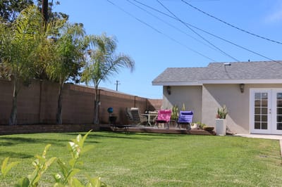 Outdoor space with chairs and palm trees