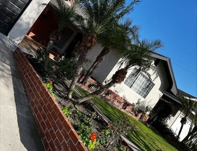 Exterior view of a senior care facility with palm trees
