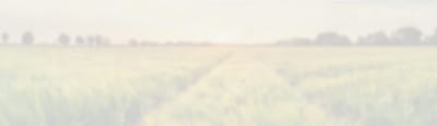 Schmitt Woodland Hills Inc, nursing home — Scenic view of a field at sunset