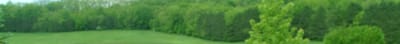 Schmitt Woodland Hills Inc, nursing home — Lush green trees in a serene outdoor setting