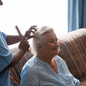 Arbor Care Centers-Countryside LLC
