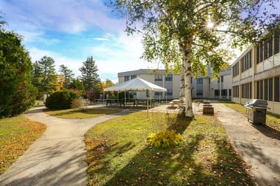 Outdoor space with a tent and walking paths