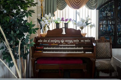 Interior view of an organ surrounded by decorative plants