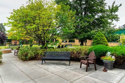 Outdoor seating area in a landscaped garden