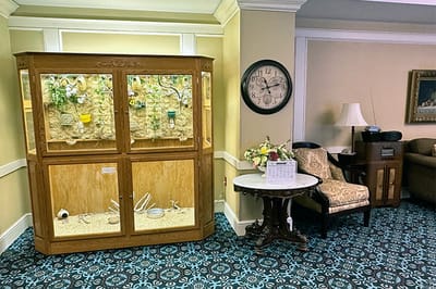 Cozy interior with display cabinet and seating area