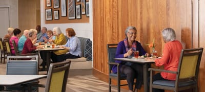 Residents enjoying meals in a bright dining area