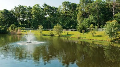 Scenic pond with fountain surrounded by trees