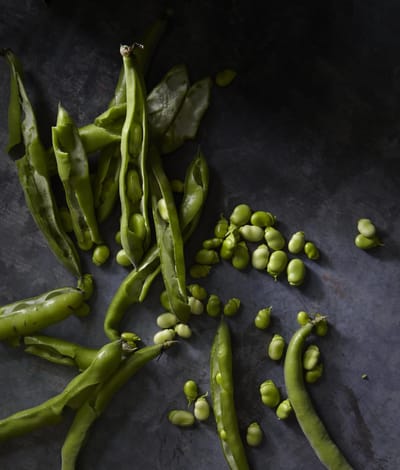 Freshly shelled green peas and pods