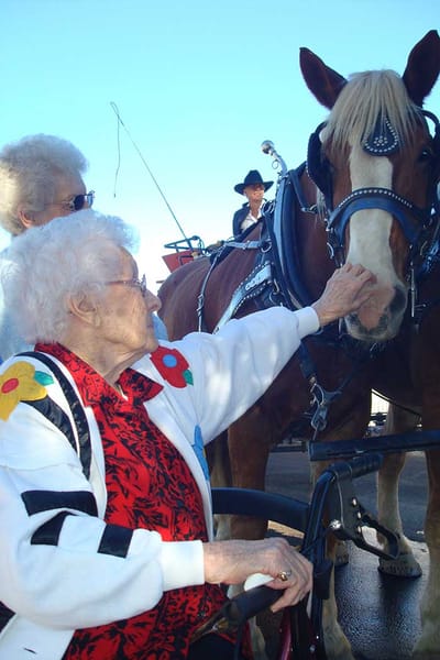 Elderly resident interacting with a horse outdoors