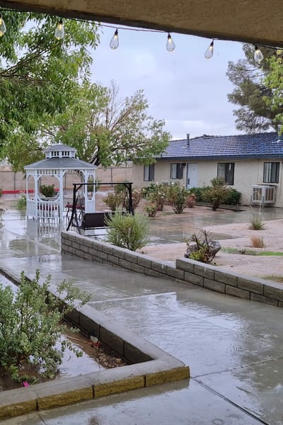 Rainy day view of the garden with gazebo