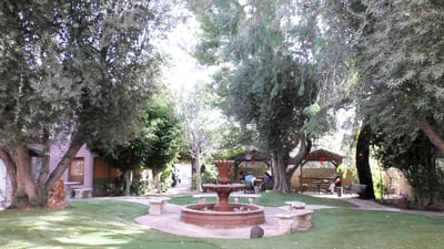 Garden area with seating and a fountain