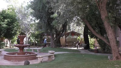 A serene outdoor garden with people enjoying the space