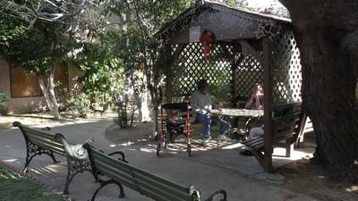 Residents enjoying a shaded outdoor gazebo area