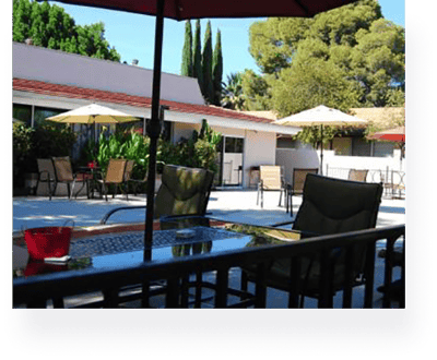 Outdoor seating area with umbrellas and greenery