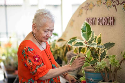 Resident tending to plants in a bright indoor space
