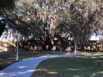 Shaded outdoor seating area with trees