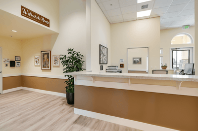 Bright reception area with plants and art on the walls