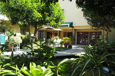 Outdoor garden area with seating and plants