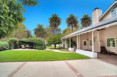 A picturesque garden area with palm trees