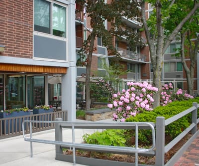Flower garden and outdoor seating area at Cambridge Court