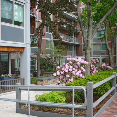 Beautiful outdoor garden area with blooming flowers