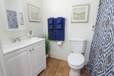 Clean and modern bathroom with towels and decor