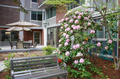 A beautiful garden area with blooming flowers and seating