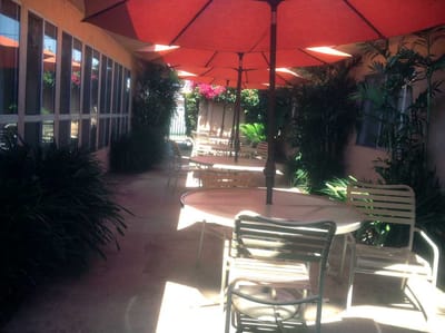 Shaded outdoor seating area with umbrellas and greenery