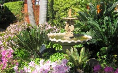A beautiful fountain surrounded by colorful flowers
