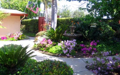 Lush garden area with colorful flowers and pathways